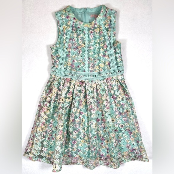 CHLOE D Girls Sleeveless Floral Embroidered Dress 5-6 Mint Pastel Formal Wedding - Picture 1 of 11